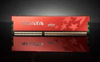 adata_plus